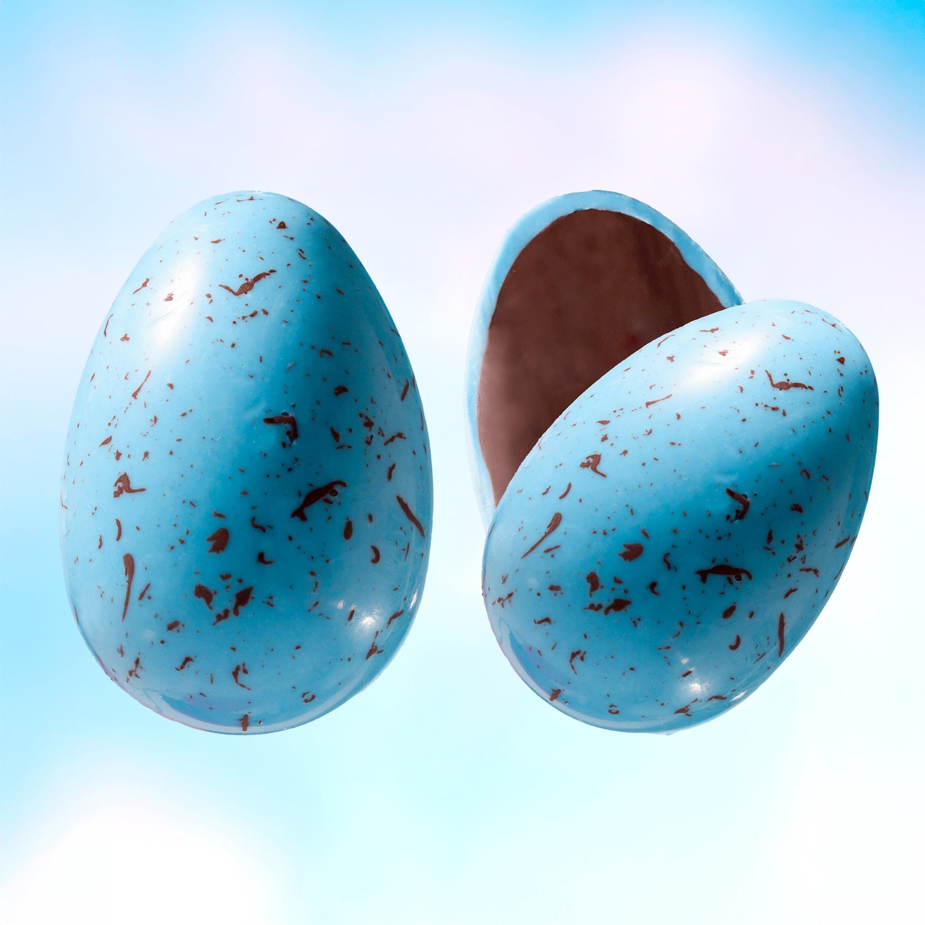 Robin's Egg - Calm Artisan Egg Assortment